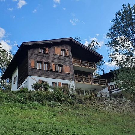 Chalet Carpe Diem Fieschertal Εξωτερικό φωτογραφία