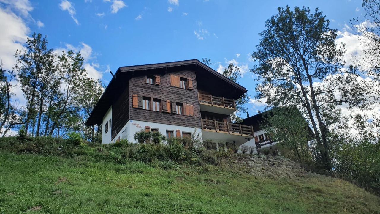 Chalet Carpe Diem Fieschertal Εξωτερικό φωτογραφία