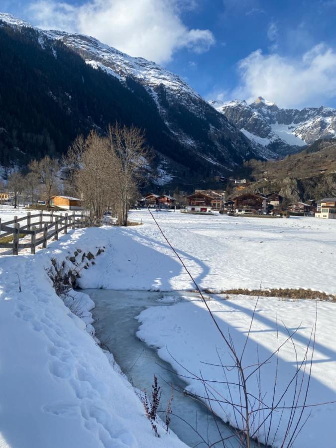 Chalet Carpe Diem Fieschertal Εξωτερικό φωτογραφία